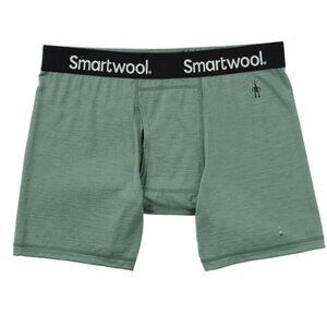 Smartwool Mens ACTV Everyday Exploration Merino 150 Boxer Brief Sage Heather 2XL